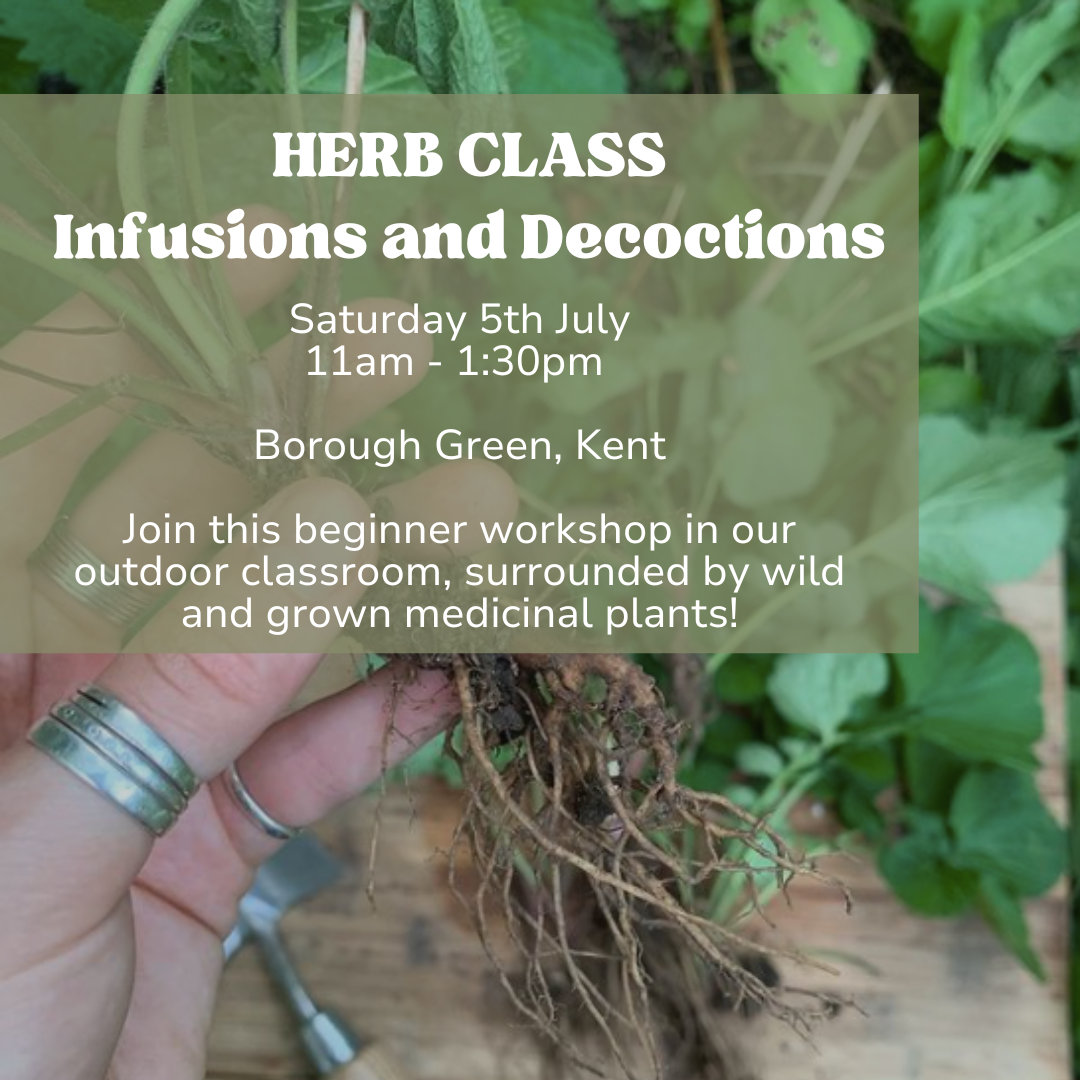 HERB CLASS | Crafting Herbal Infusions and Decoctions | 5th July