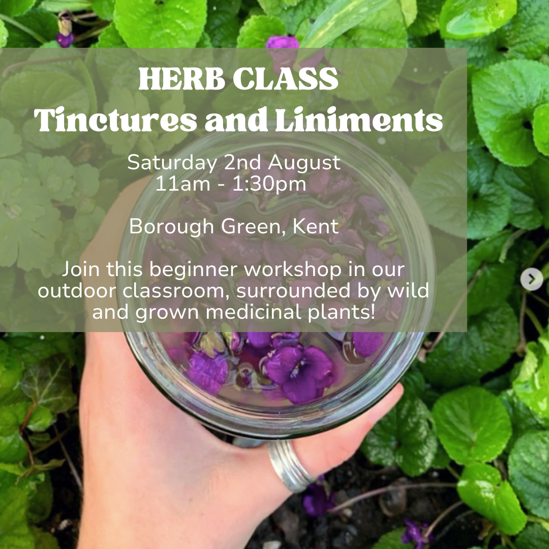 HERB CLASS | Crafting Tinctures and Liniments | 2nd August