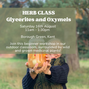 HERB CLASS | Crafting Glycerites and Oxymels | 16th August