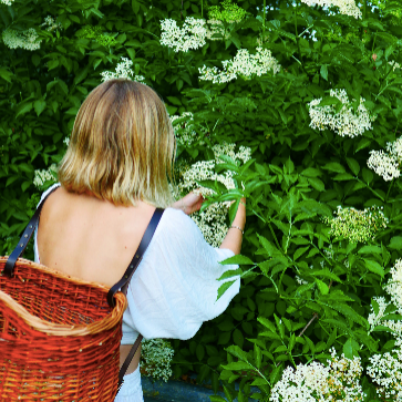 Spring Foraging Walk | 20th April | Sevenoaks